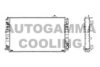 AUTOGAMMA 105124 Radiator, engine cooling